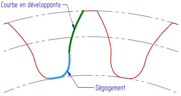 involutes schema