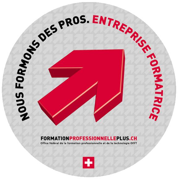 formation porfessionele plus 